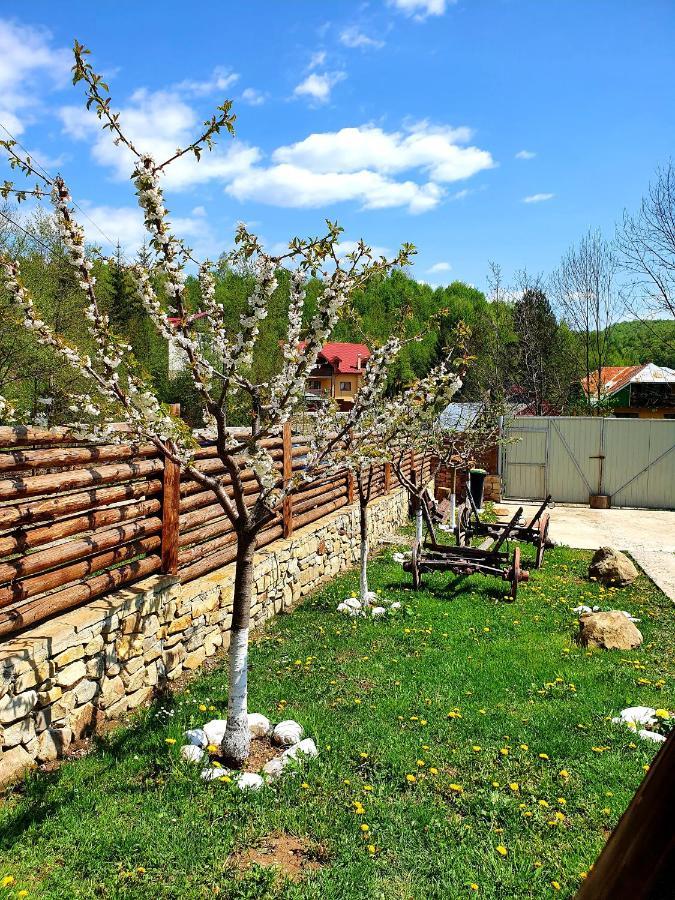 Rooms Poienita Slanic Moldova Exterior photo